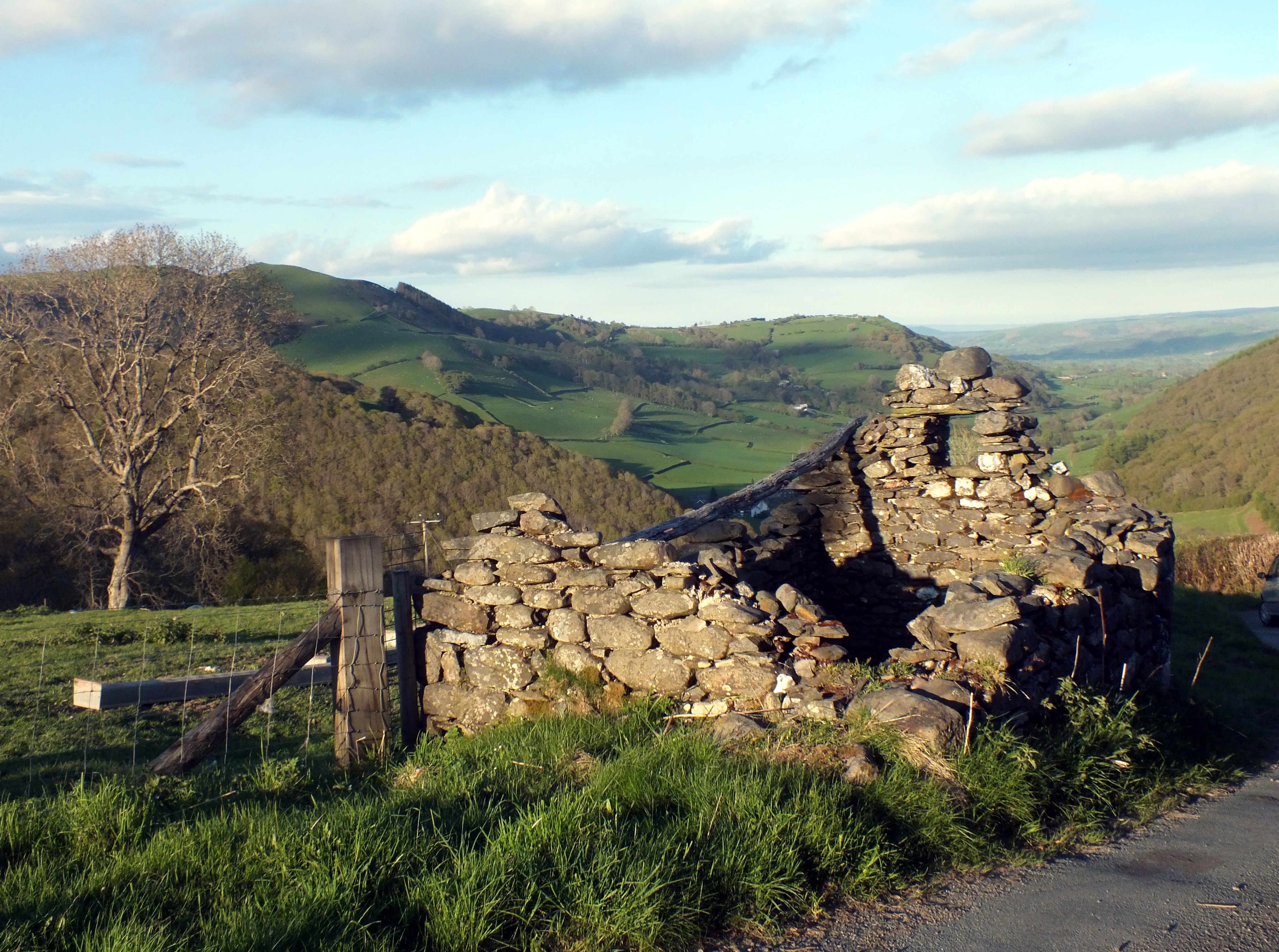 BACKROAD TO LLAWRYGLYN. Bill Bagley Photography